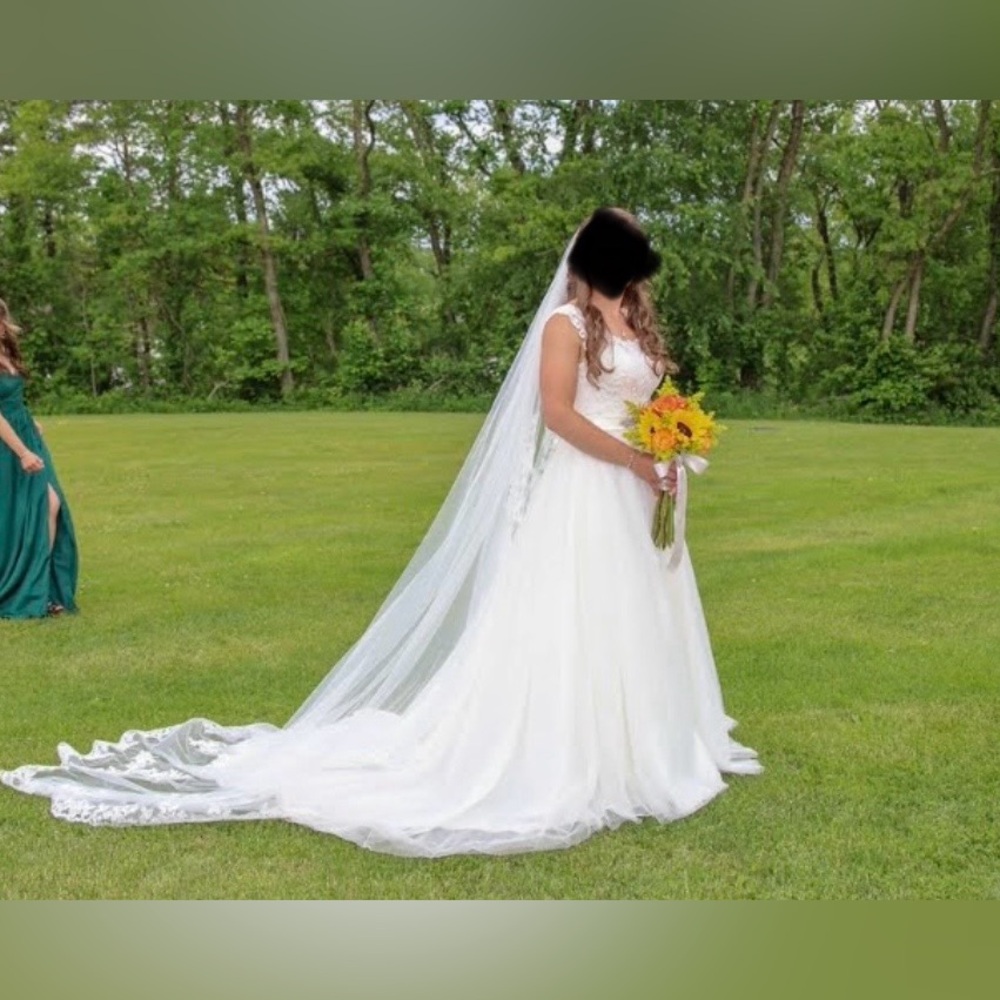 David’s Bridal Dress